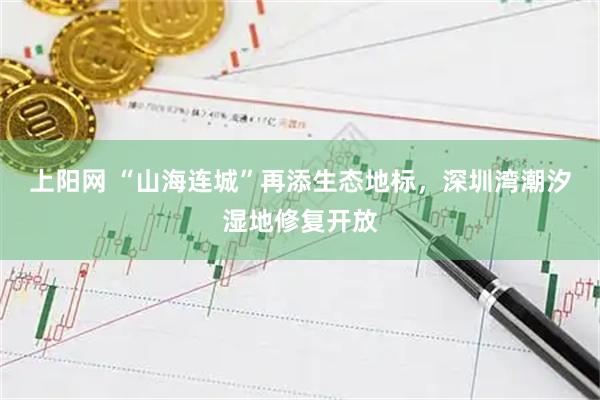 上阳网 “山海连城”再添生态地标,深圳湾潮汐湿地修复开放