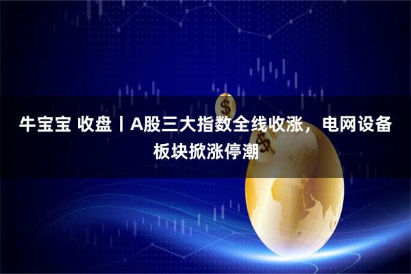 牛宝宝 收盘丨A股三大指数全线收涨,电网设备板块掀涨停潮